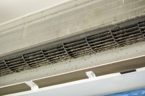 Best Air Vent Cleaning Services  in Manchester, MO